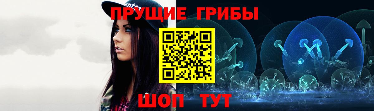 Зеленокумск  что такое   Вход с VPN  Псилоцибиновые грибы мицелий 